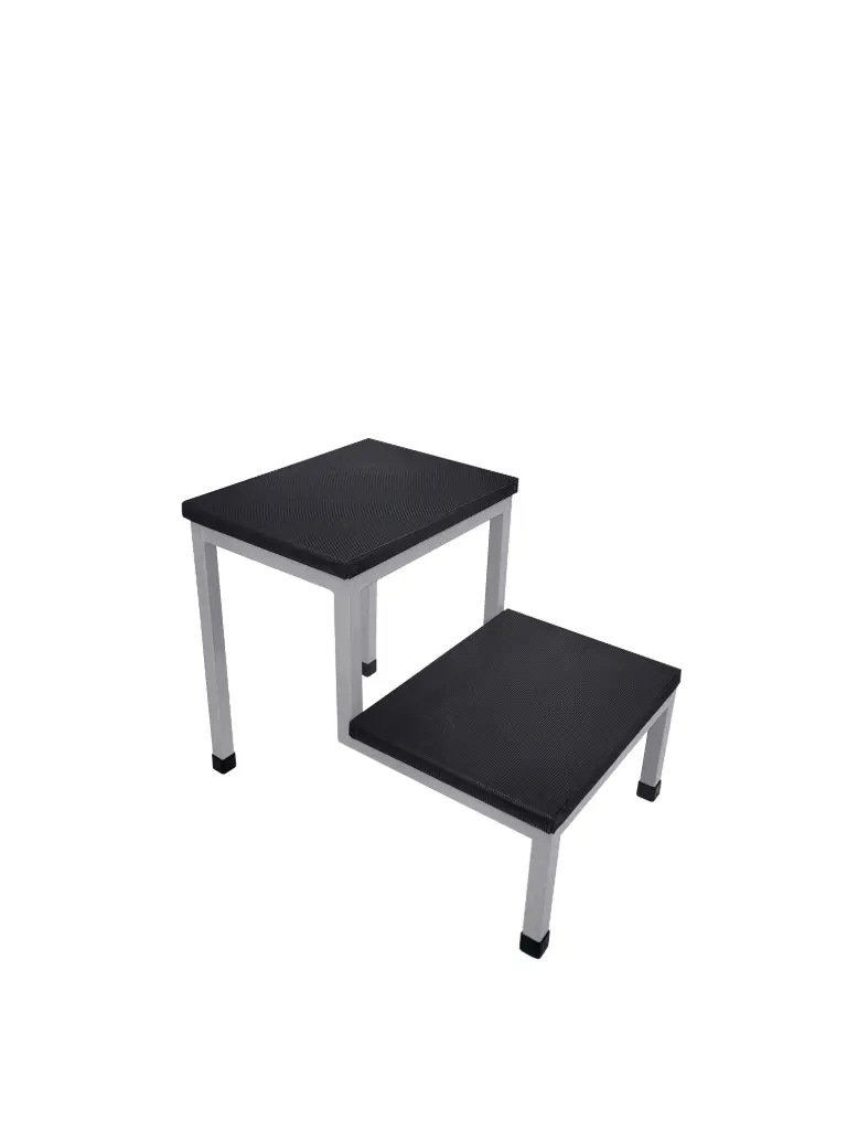 Double Step Stool 